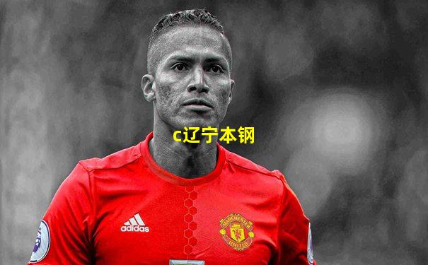 c辽宁本钢