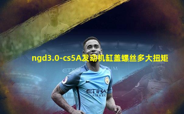 ngd3.0-cs5A发动机缸盖螺丝多大扭矩