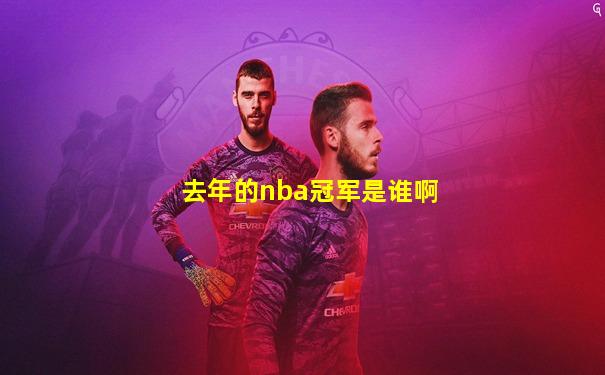 去年的nba冠军是谁啊