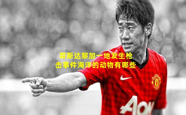 哥斯达黎加一地发生枪击事件海洋的动物有哪些