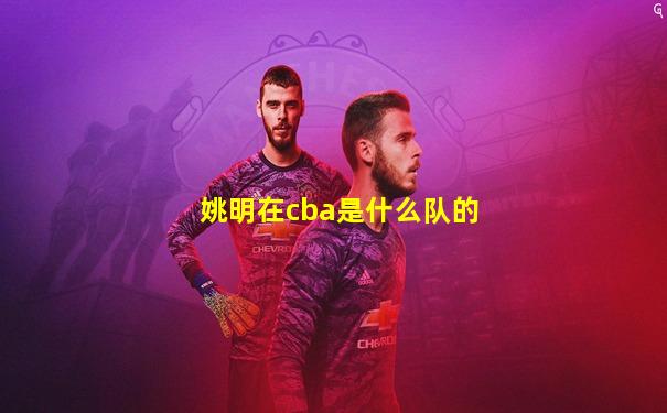 姚明在cba是什么队的