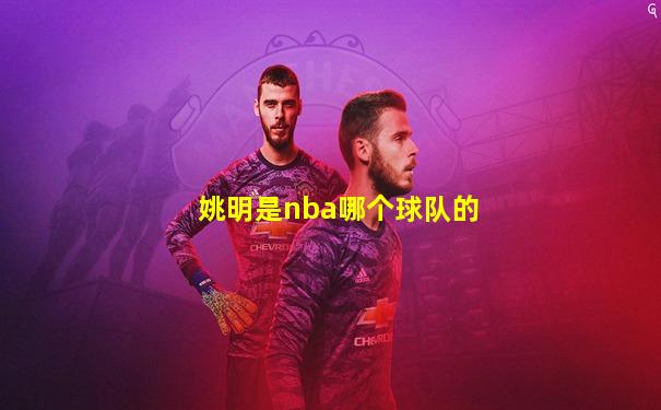 姚明是nba哪个球队的