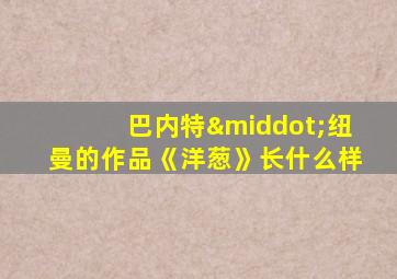 巴内特·纽曼的作品《洋葱》长什么样