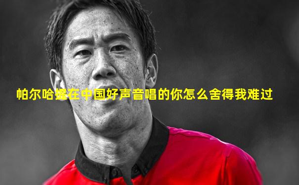 帕尔哈提在中国好声音唱的你怎么舍得我难过