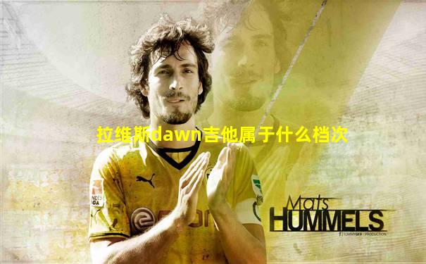 拉维斯dawn吉他属于什么档次