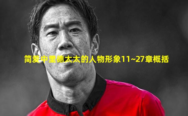 简爱中里德太太的人物形象11~27章概括