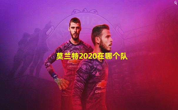 莫兰特2020在哪个队