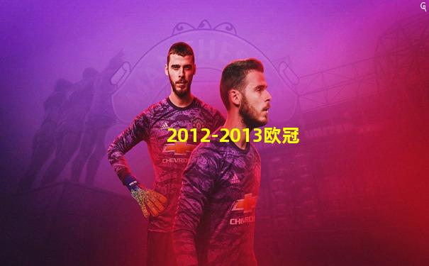 2012-2013欧冠