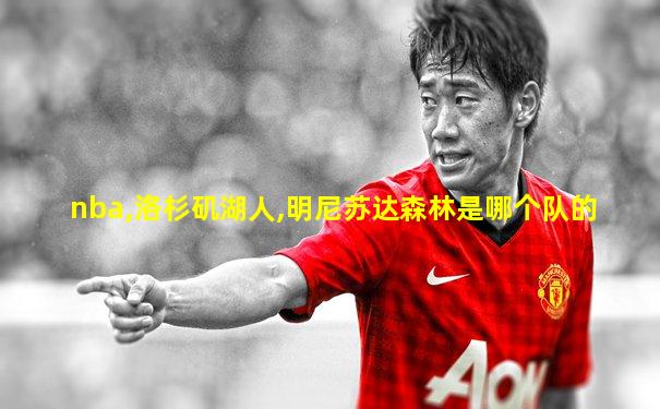 nba,洛杉矶湖人,明尼苏达森林是哪个队的