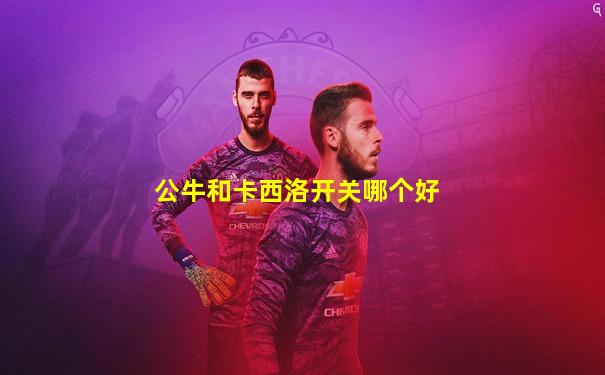 公牛和卡西洛开关哪个好