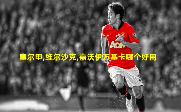 塞尔甲,维尔沙克,嘉沃伊万基卡哪个好用