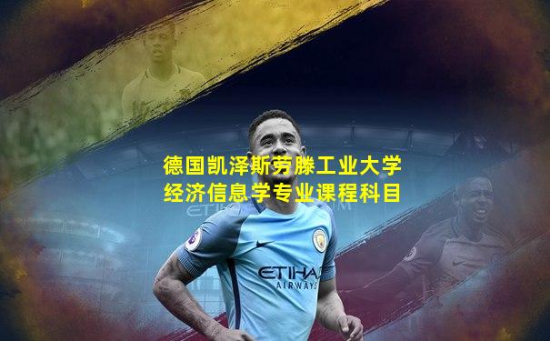 德国凯泽斯劳滕工业大学经济信息学专业课程科目