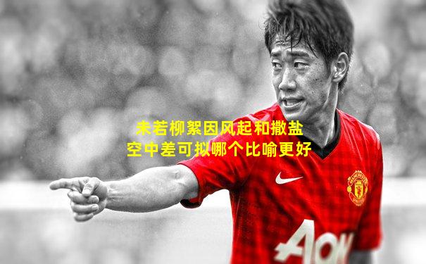 未若柳絮因风起和撒盐空中差可拟哪个比喻更好