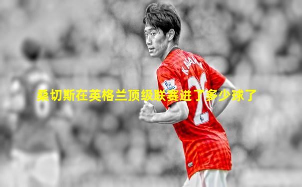 桑切斯在英格兰顶级联赛进了多少球了