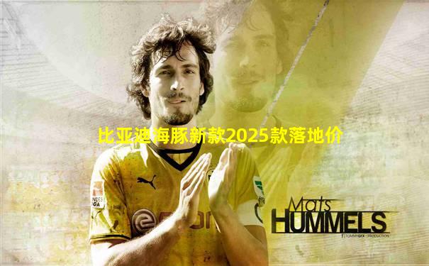 比亚迪海豚新款2025款落地价