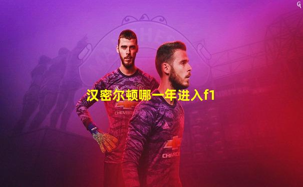 汉密尔顿哪一年进入f1