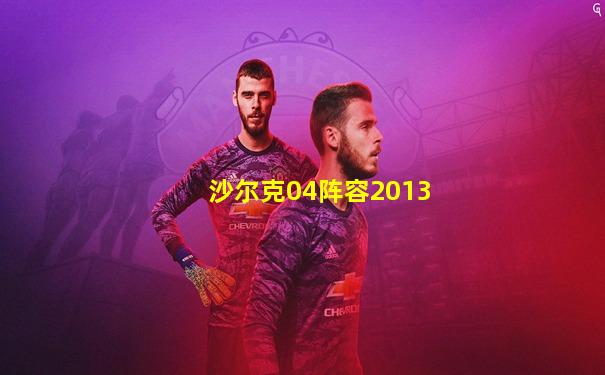 沙尔克04阵容2013