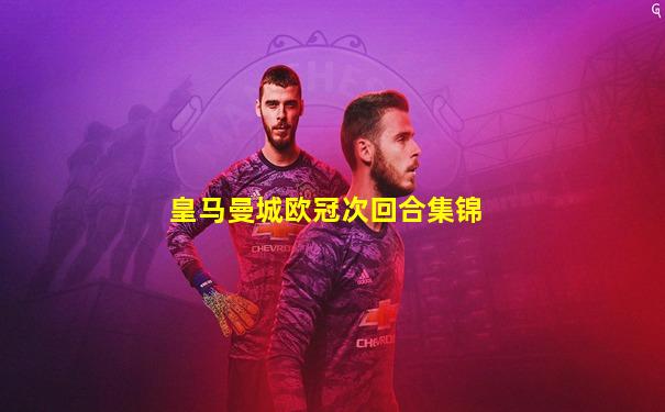 皇马曼城欧冠次回合集锦