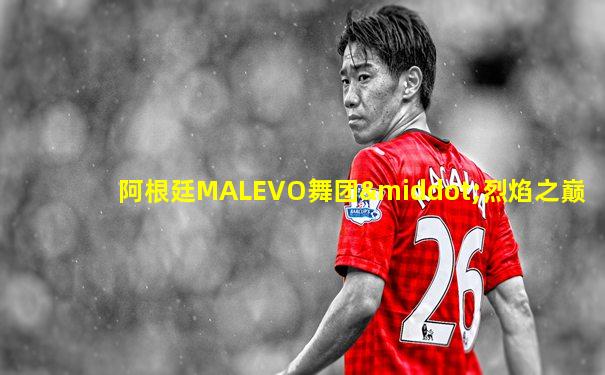 阿根廷MALEVO舞团·烈焰之巅
